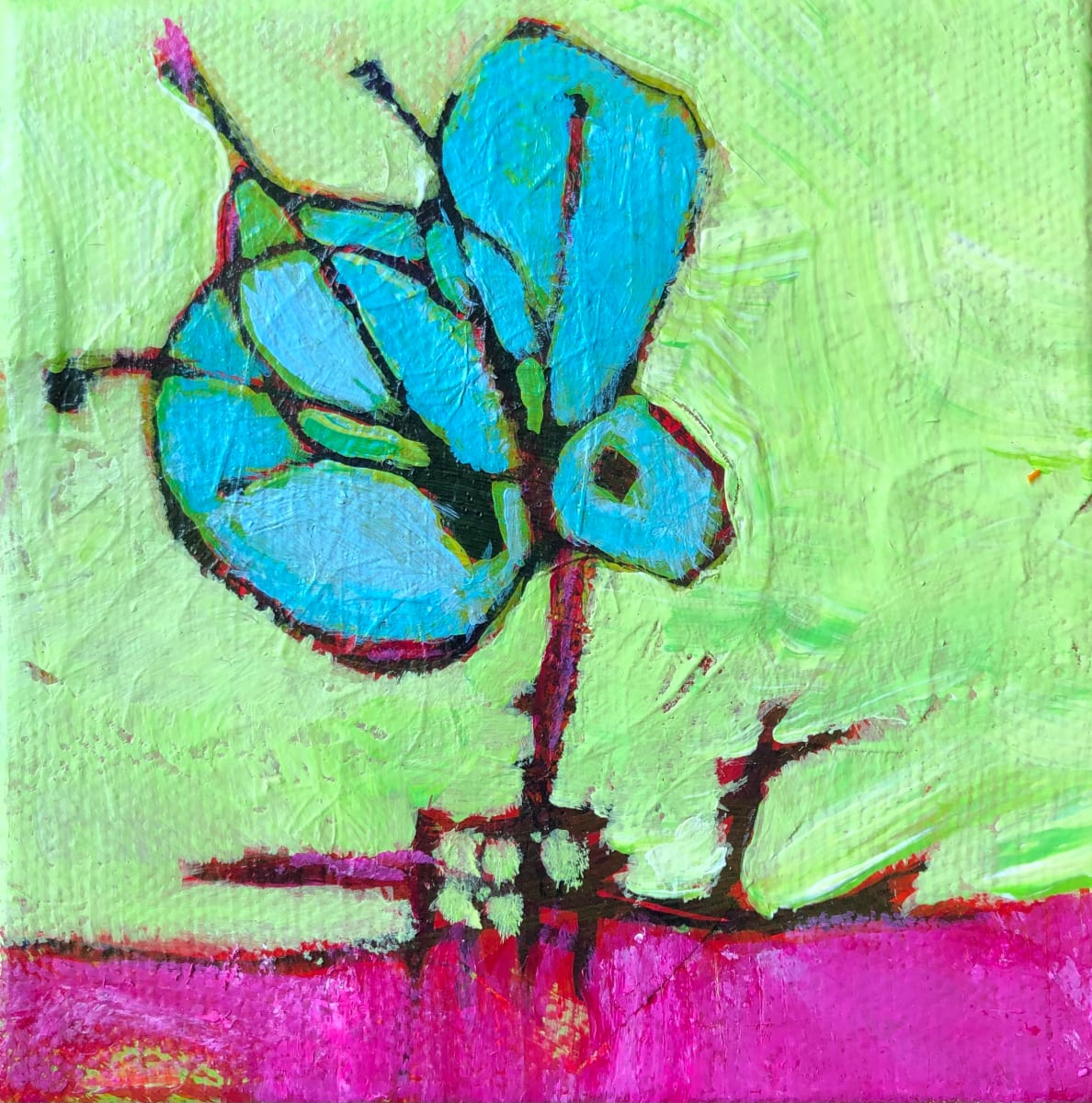BUTTER-FLY DREAMS, Image 1.