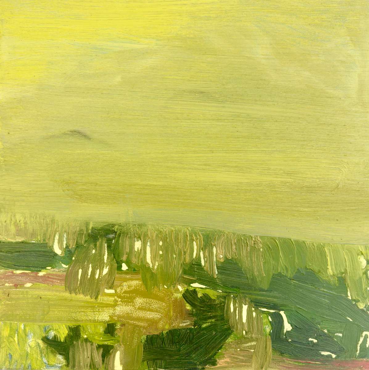 The Earths Dreaming by Greta McMahon, Image 2.