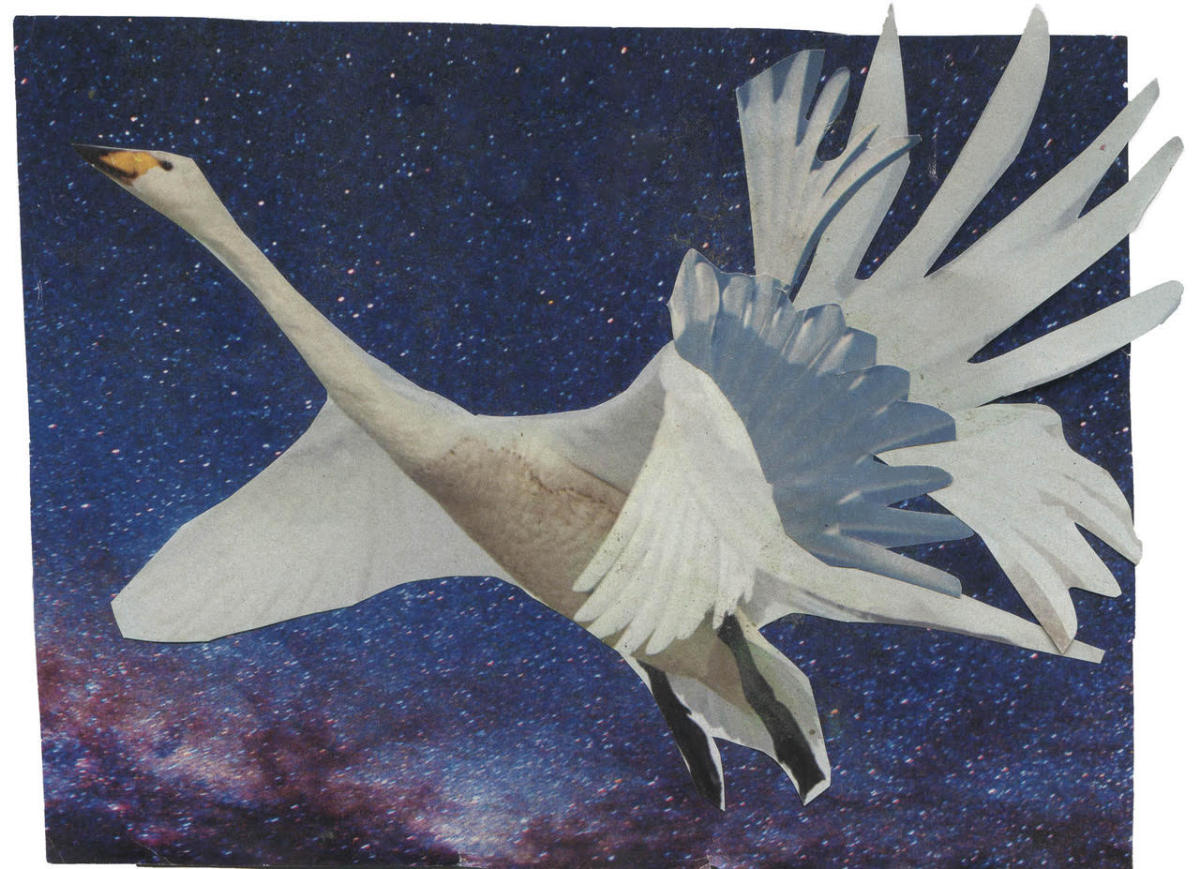 Cosmic Traveller by Greta McMahon 