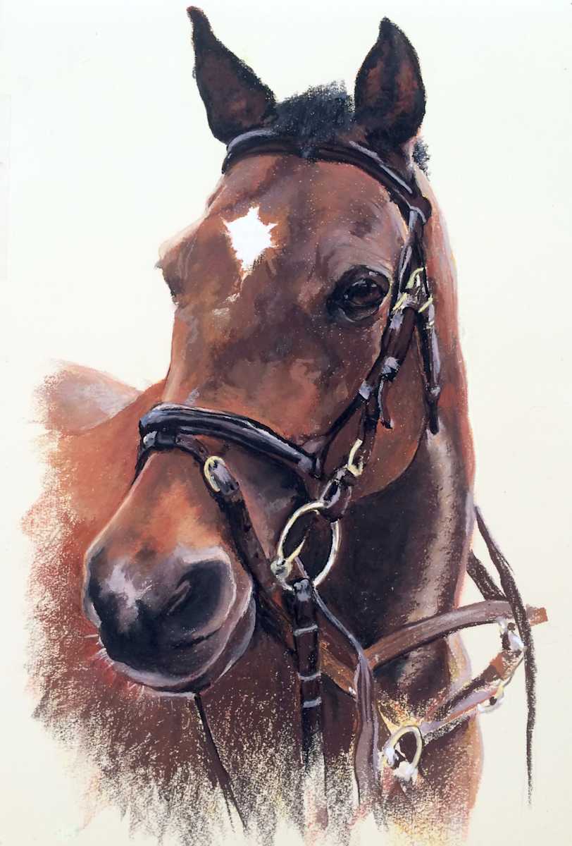 JT by Amy Bernhardt, Image 1.