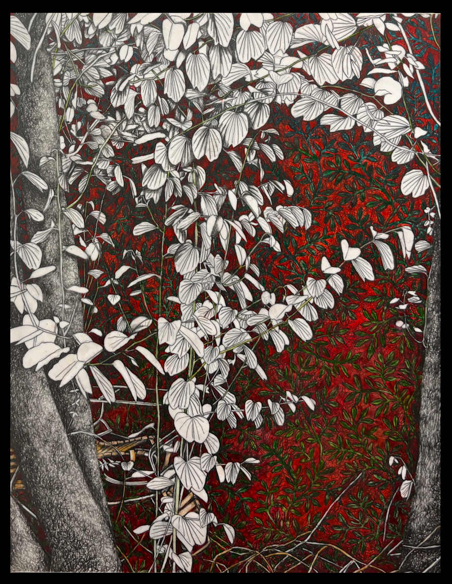 Ginko 2 by Mary Jane Parker, Image 6.