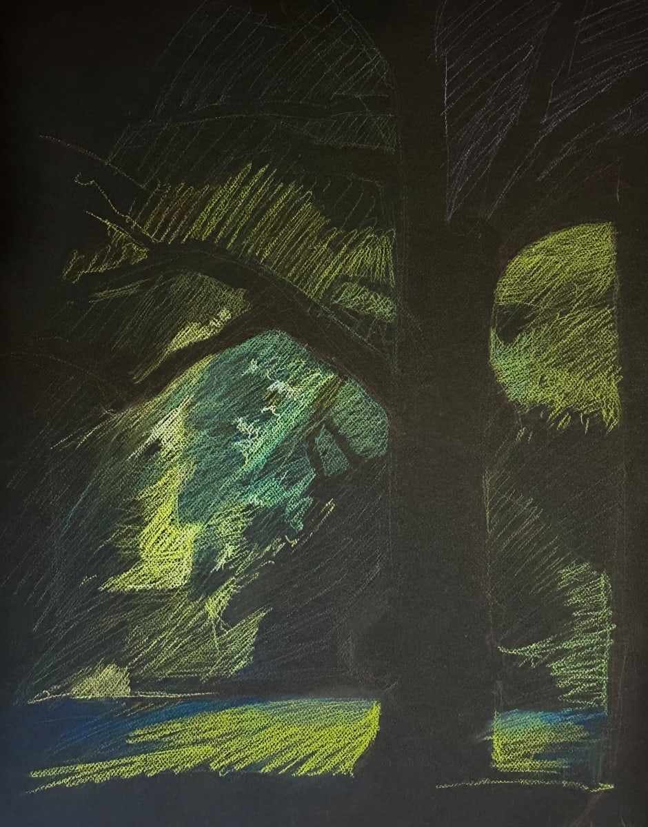 THE LAST LIGHT IN THE PARK by Robin Crouch 