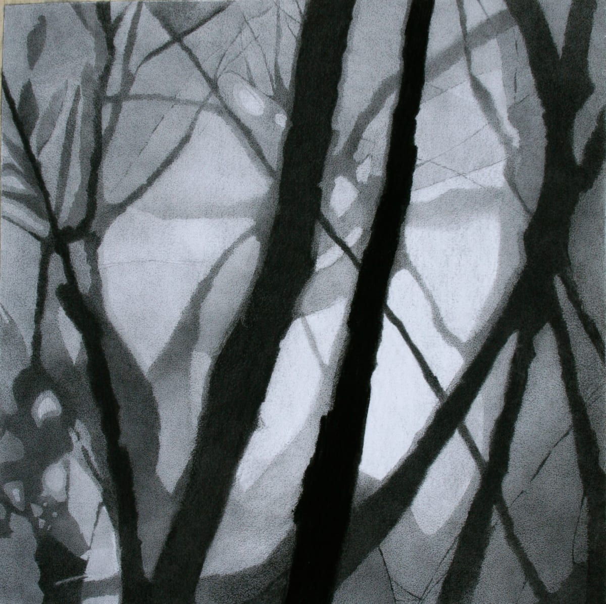UNADORNED by Robin Crouch 