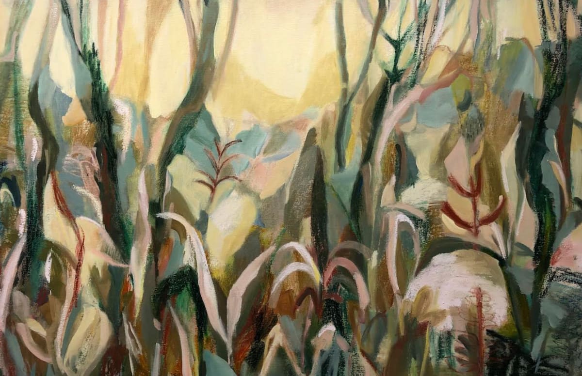 Untitled by Dana Finch 