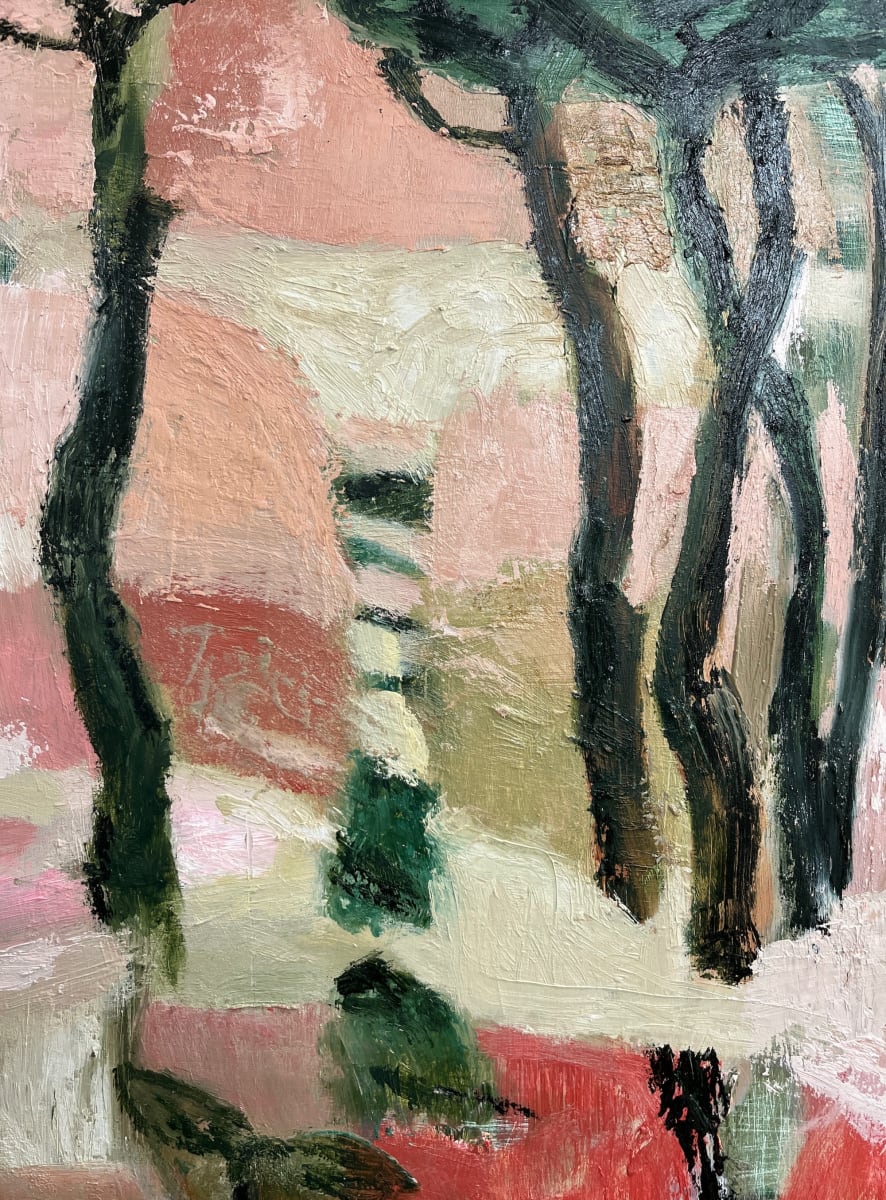 Umbrella Pines by Dana Finch 