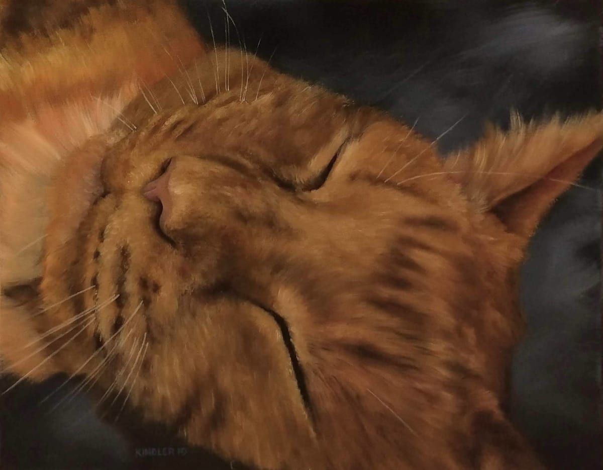 Jessie's cat, Image 1.