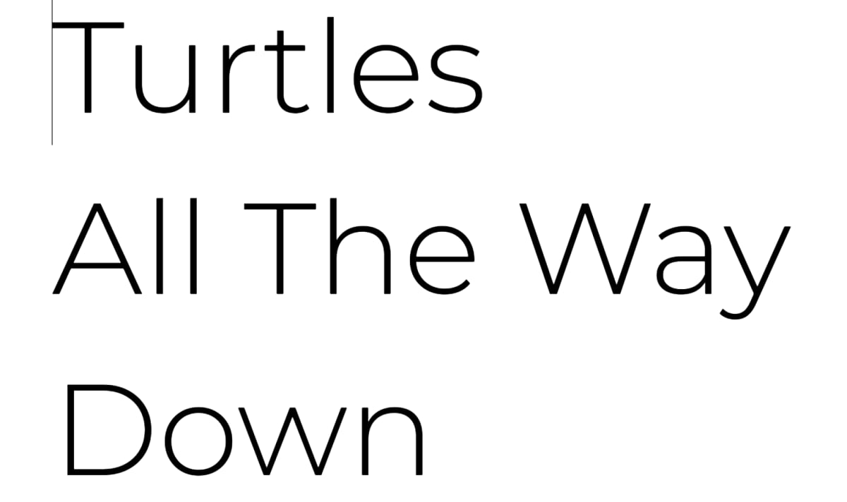 Turtles All The Way Down by Alan Kindler 