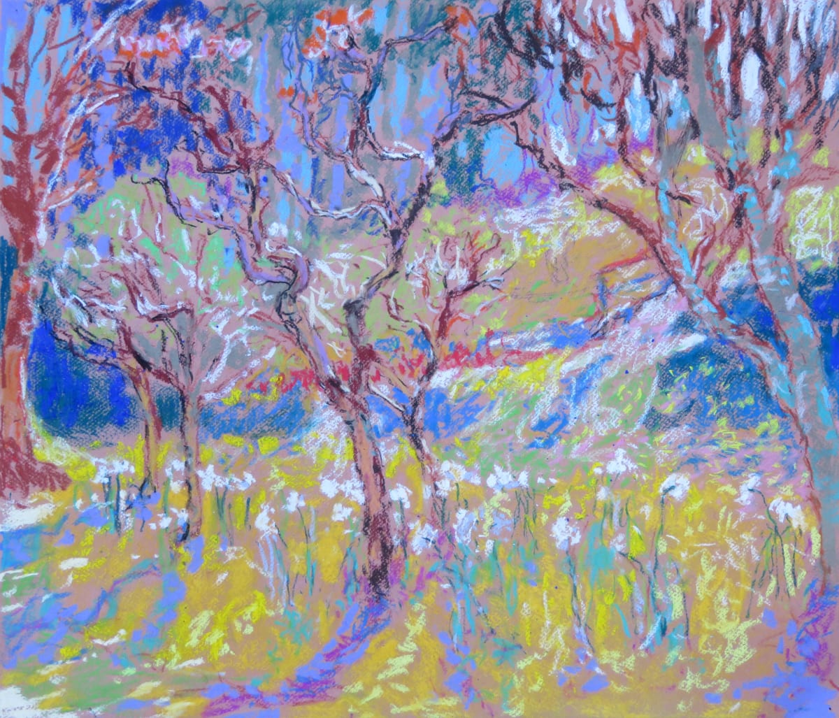 LS9: Young apple trees - 20th April 