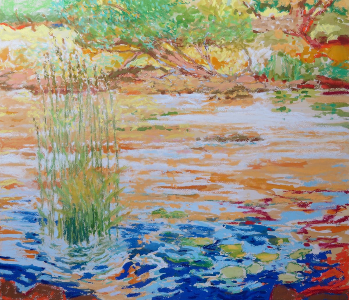 LS44: After the rain, Rule Water with Canary Grass - 23rd June 2020 