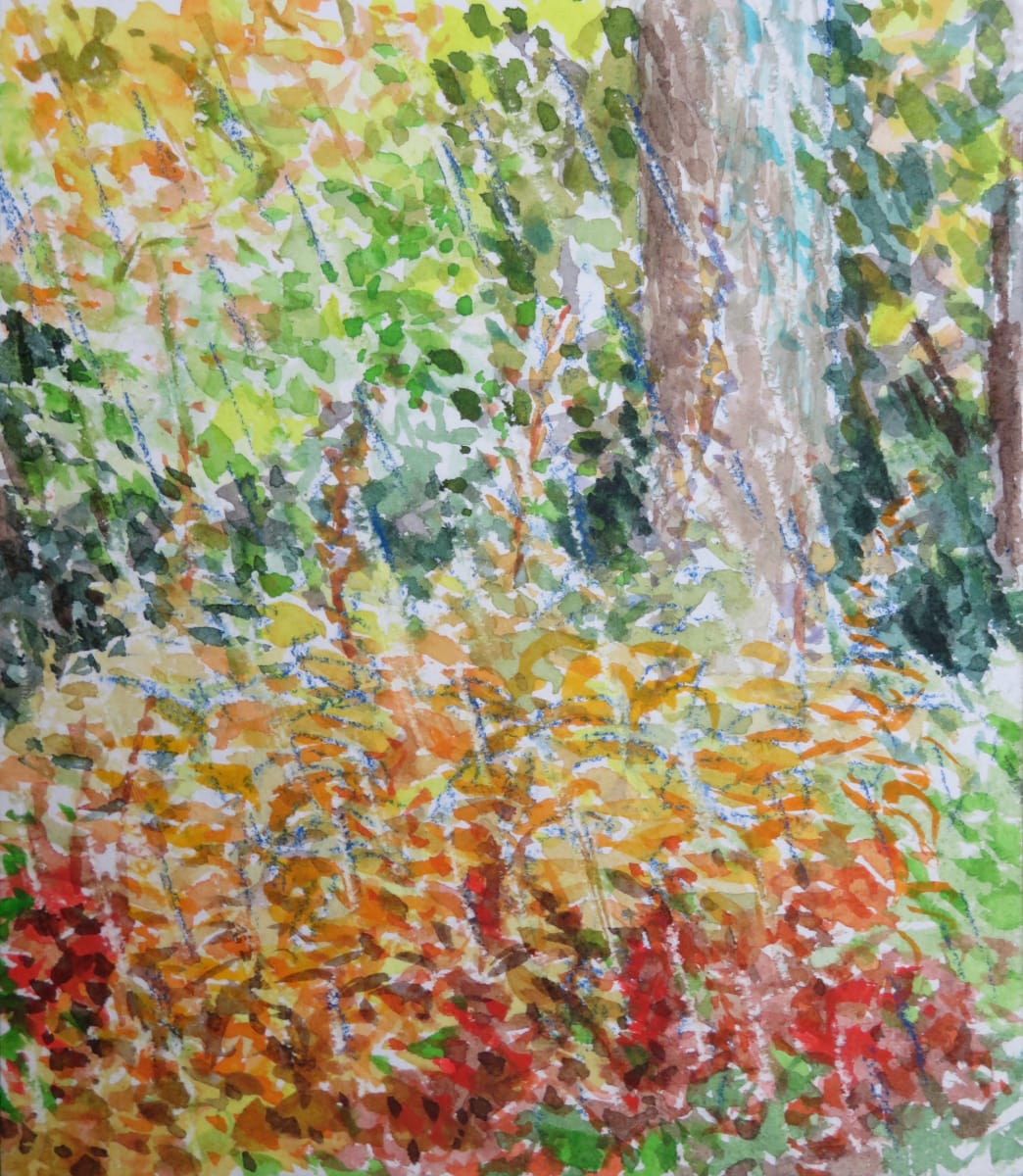 LS79: Rain on Fireweed, Image 1.