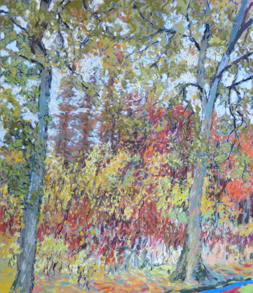 LS77: Stormy day between two Oak Trees - 31st October 2020 