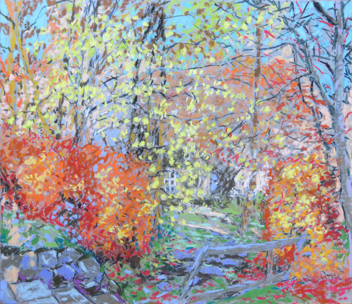 NH9: Early morning path through the Beech Hedge to the Studio - 6th November 2020 