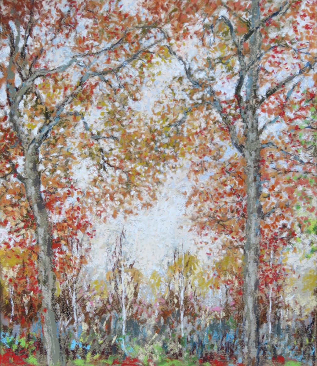 NH14: Silhouettes - "we are small between the stars, so large against the sky" Leaonard Cohen - 12th November 2020 