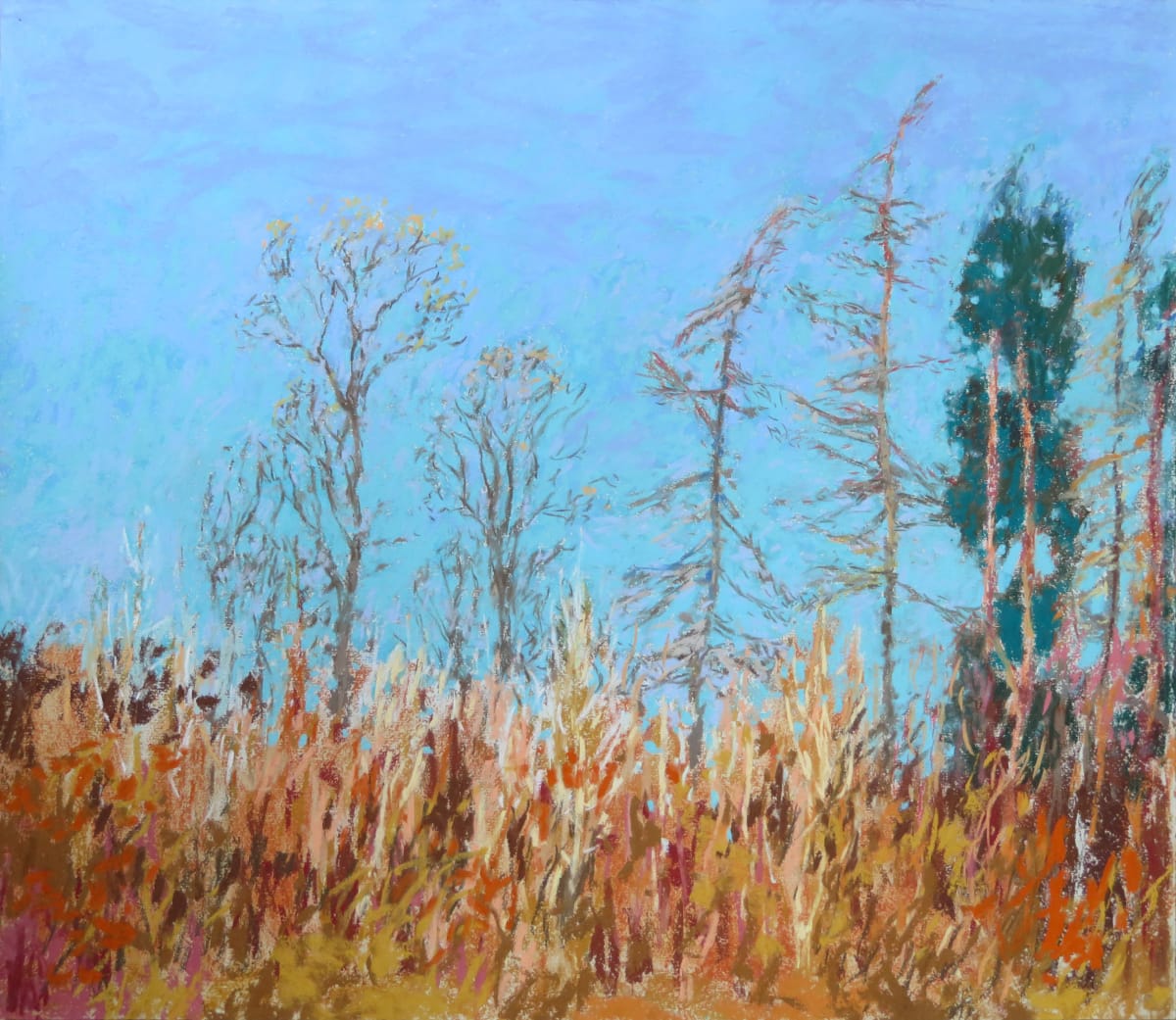 NH18: Very Blue Sky - 19th November 2020 by Simon Blackwood 