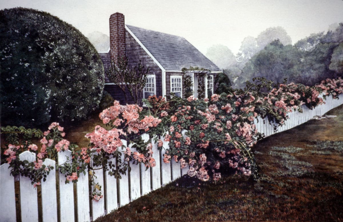 Roses Mist  Image: Rose Cottage - Nantucket, Massachusetts