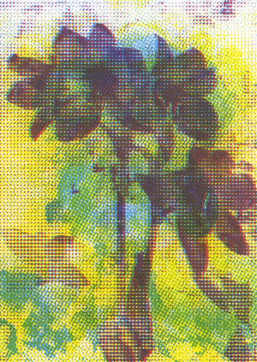 Dissolution: Guardian Angel #110 by Clovis Blackwell, Image 2.