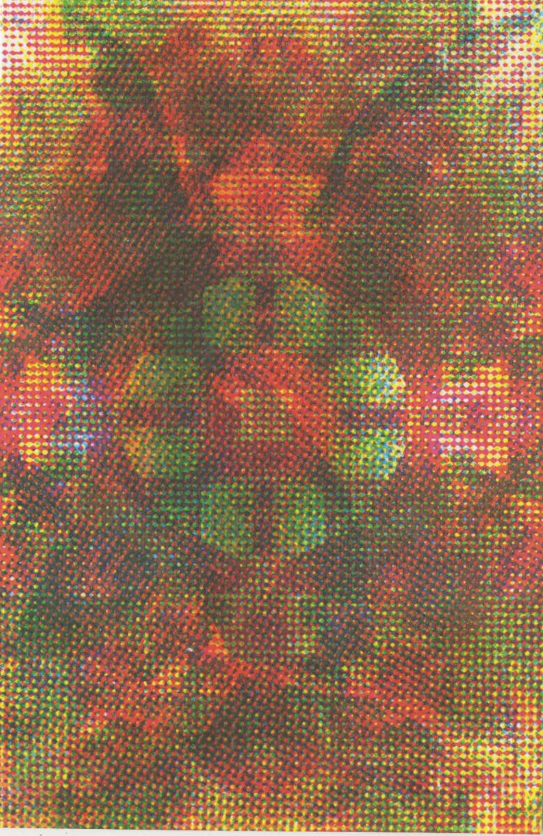 Dissolution: Guardian Angel #130 by Clovis Blackwell 