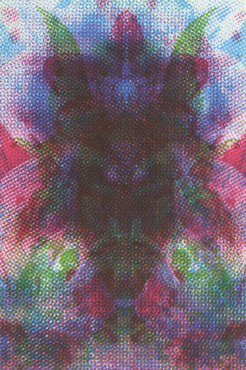 Dissolution: Guardian Angel #132 by Clovis Blackwell, Image 2.