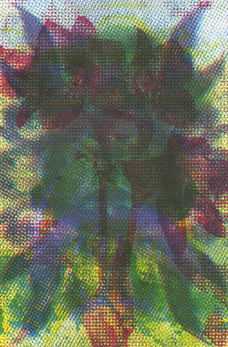 Dissolution: Guardian Angel #5 by Clovis Blackwell 