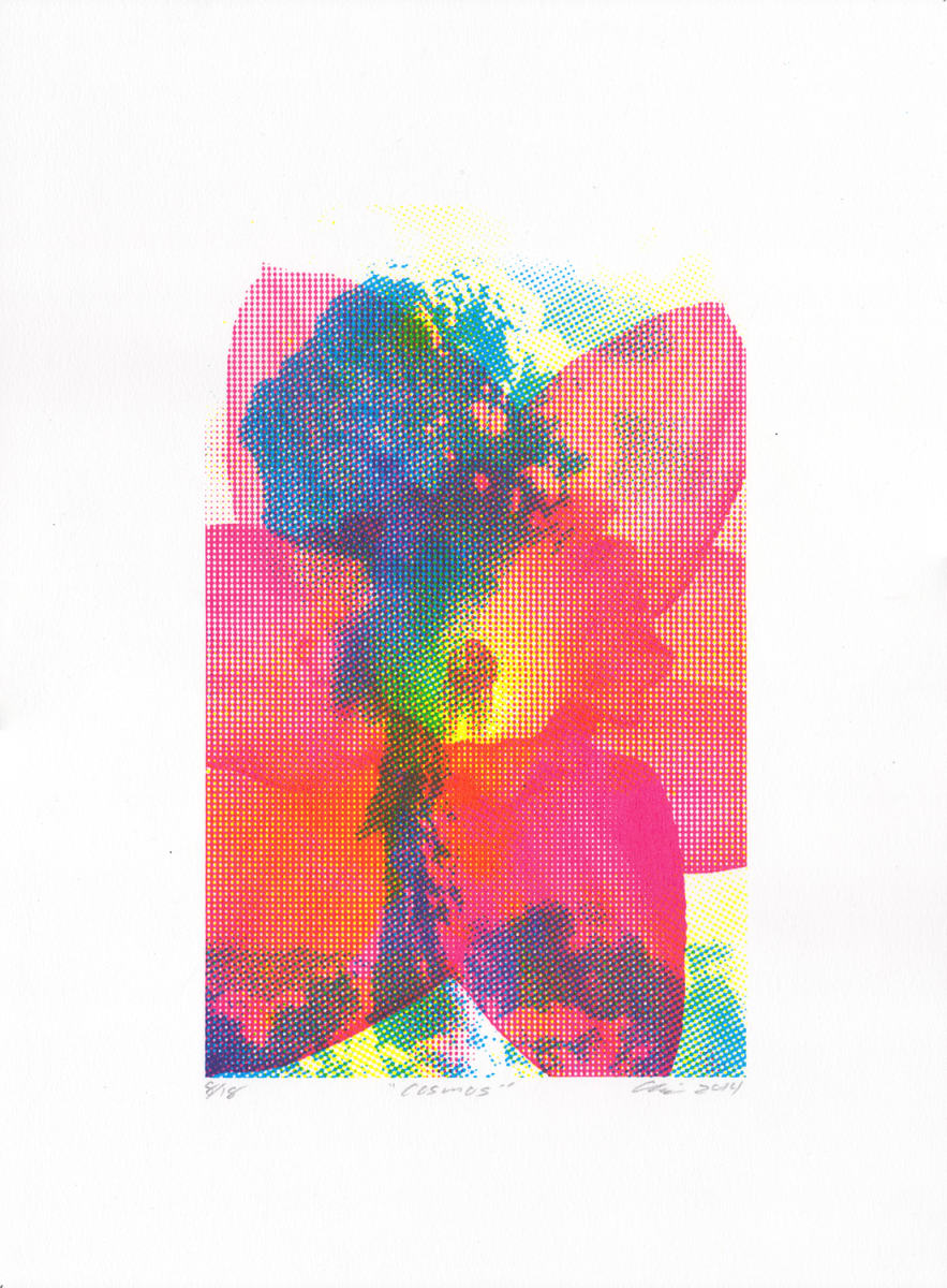 Cosmos by Clovis Blackwell, Image 1.