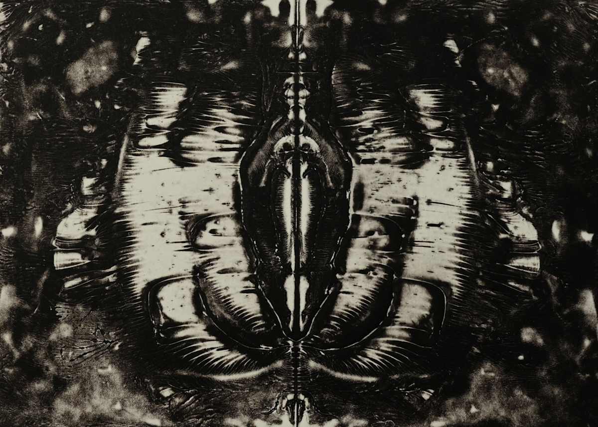 The Night Trip 8 by Siri Devi Khandavilli 