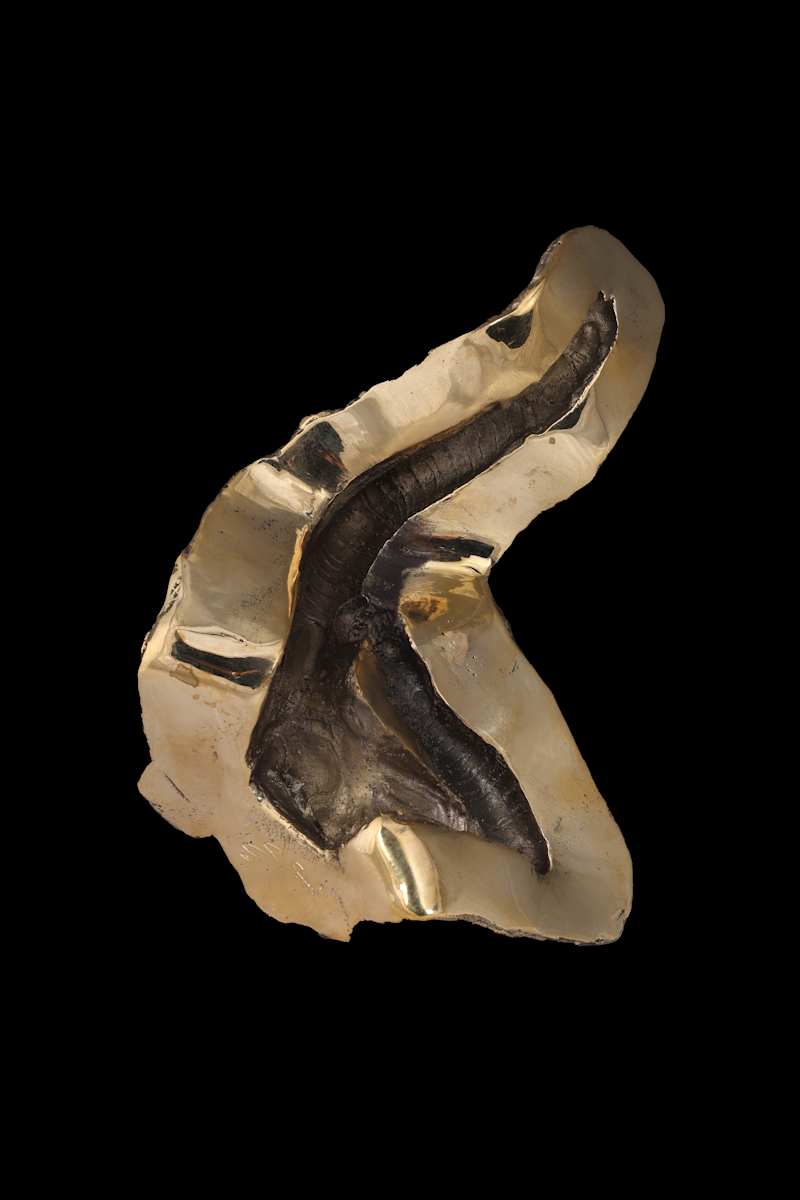 And The Day Came by Siri Devi Khandavilli 