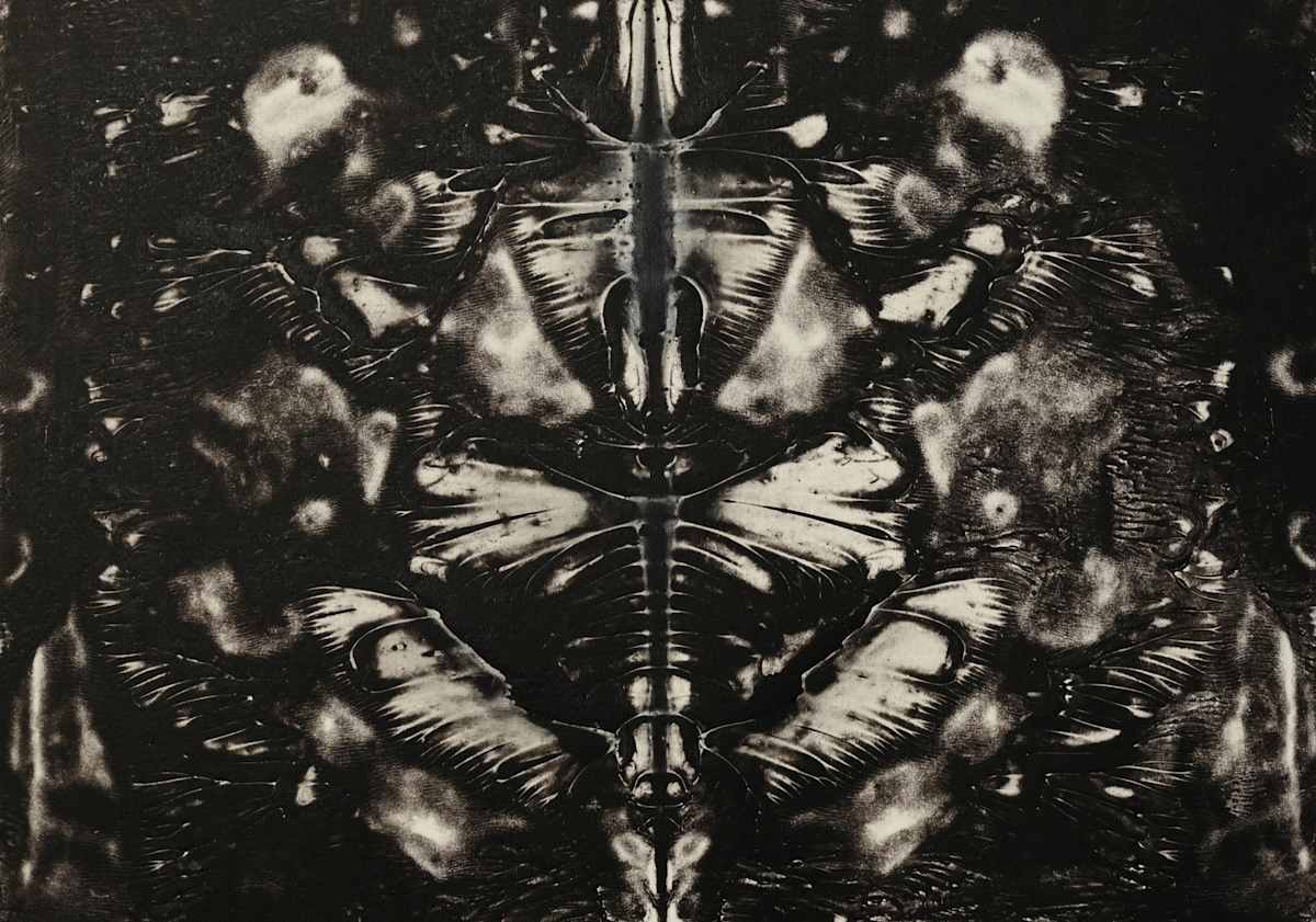 The Night Trip 7 by Siri Devi Khandavilli 