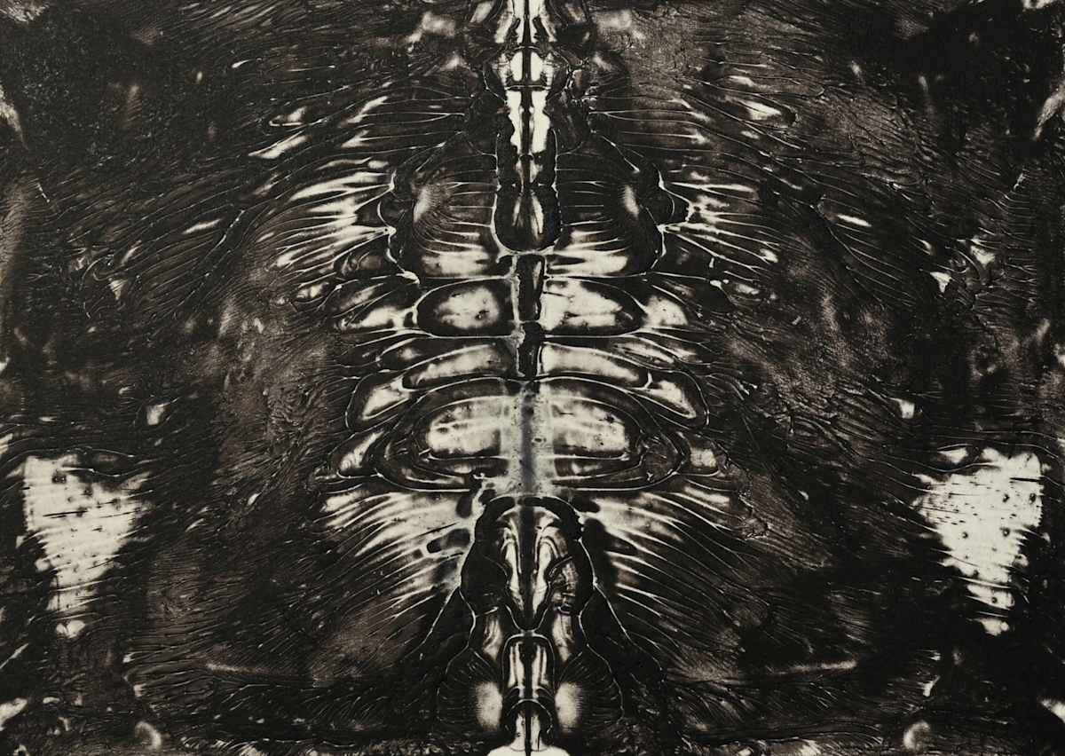 The Night Trip 17 by Siri Devi Khandavilli 