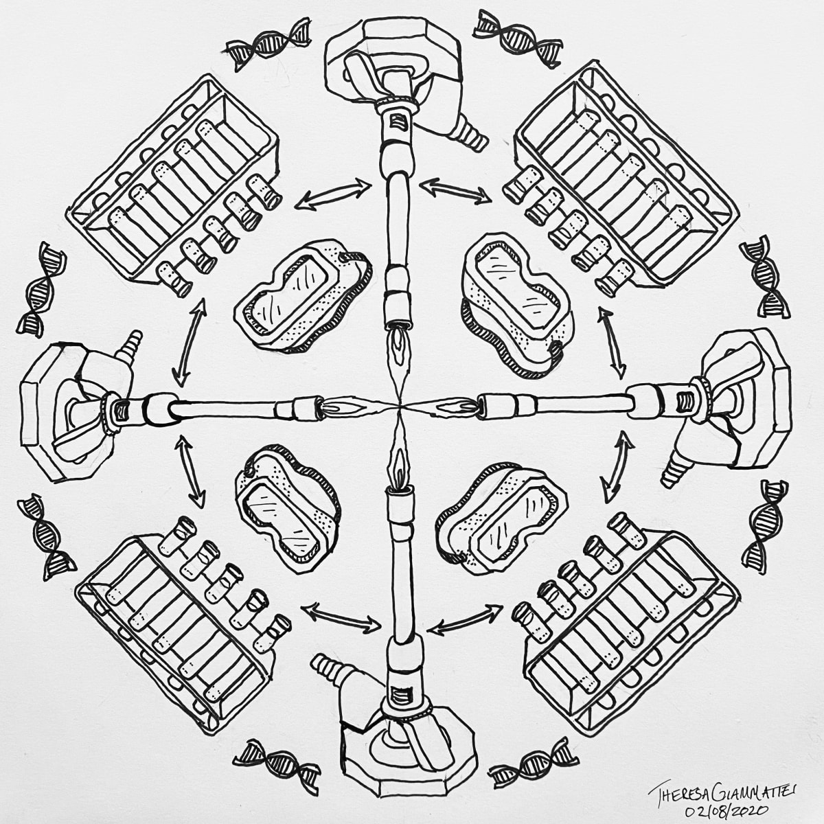 7: Experiment, Image 1.