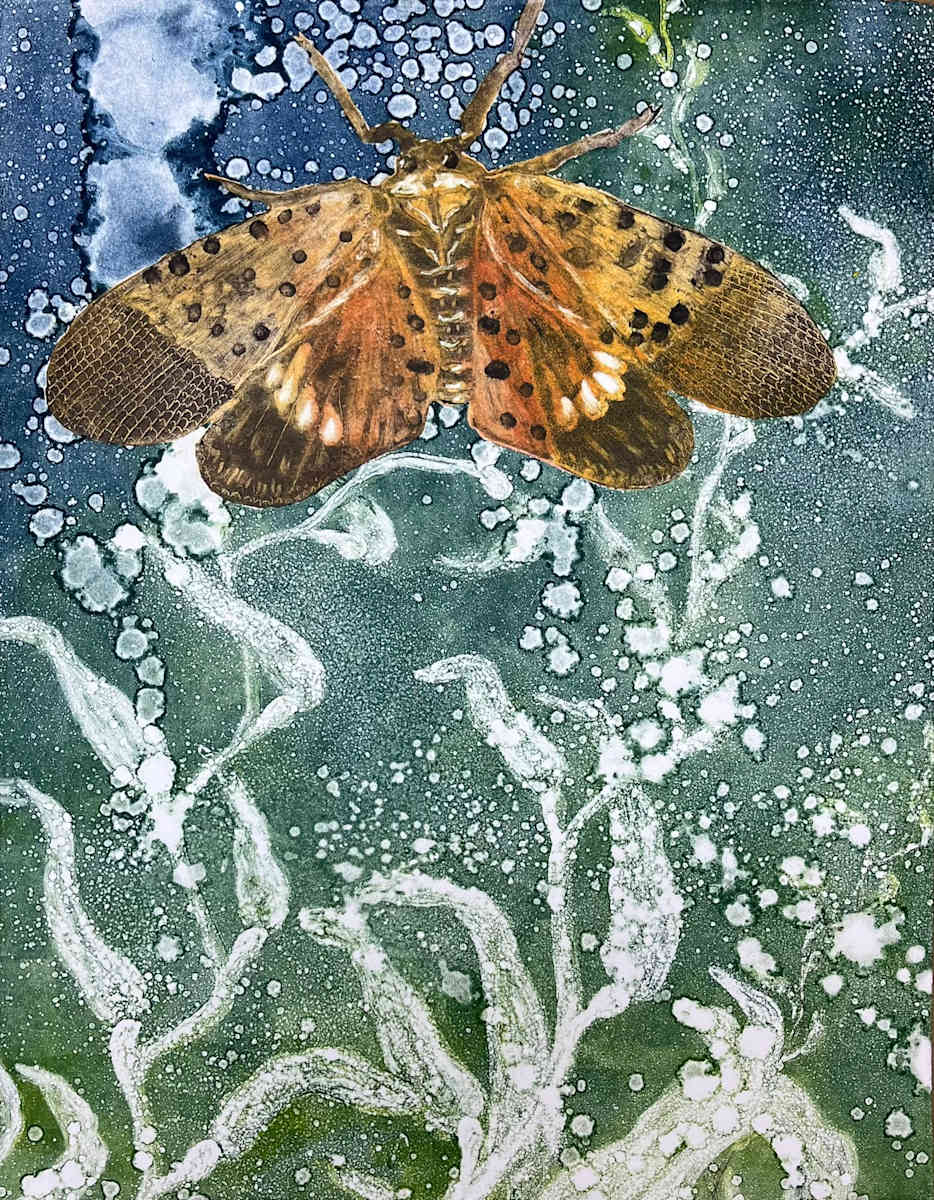 Lantern Fly V1 by Theresa Giammattei 