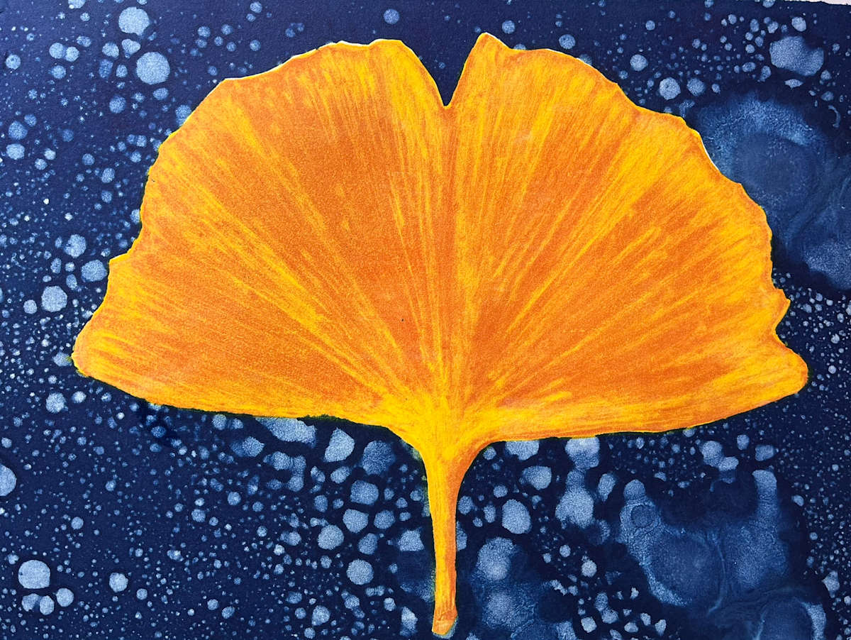 Ginkgo (v1) by Theresa Giammattei, Image 1.