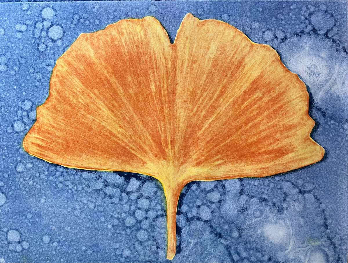 Ginkgo (v3) by Theresa Giammattei, Image 1.