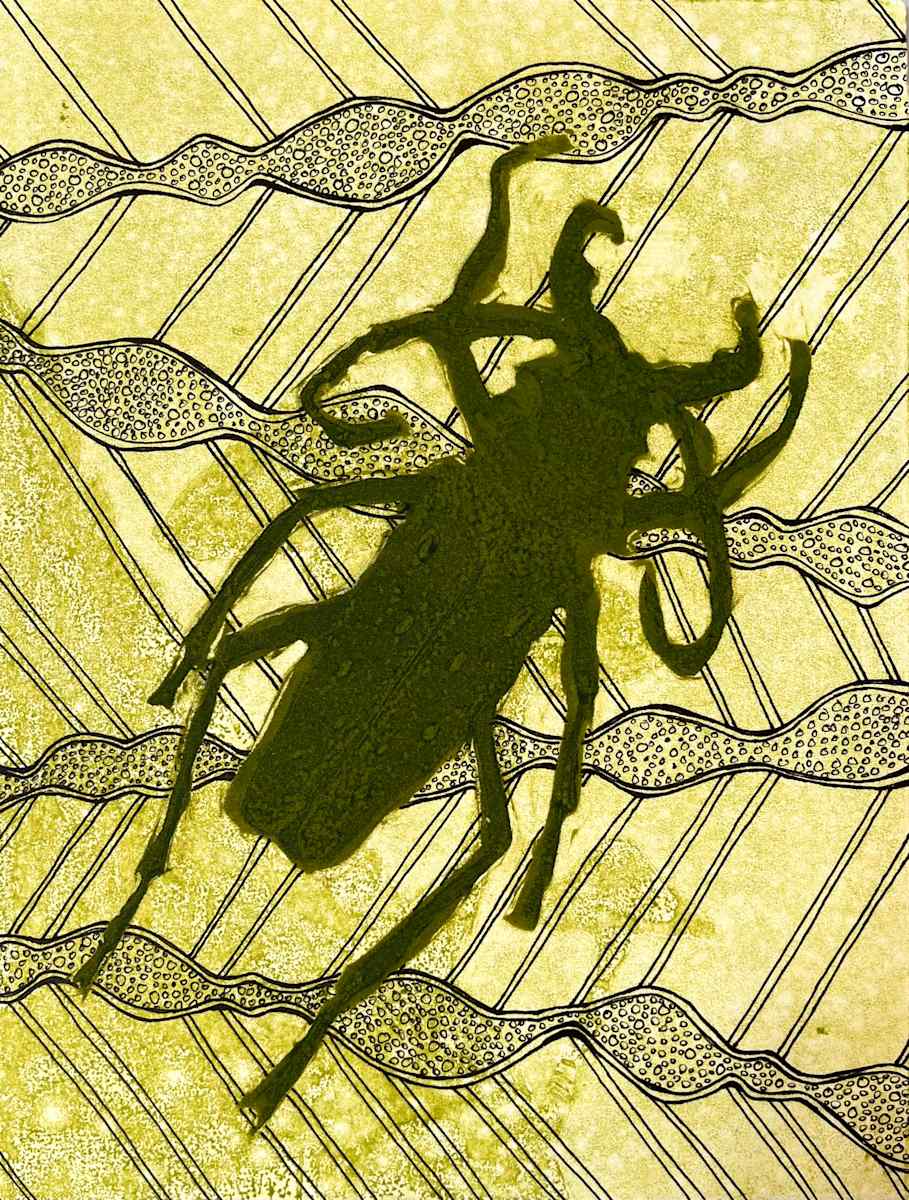 Squashed (v1) by Theresa Giammattei, Image 4.