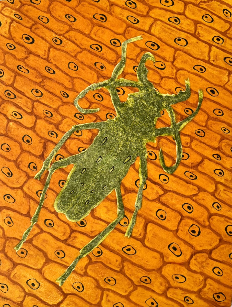 Squashed (v2) by Theresa Giammattei 