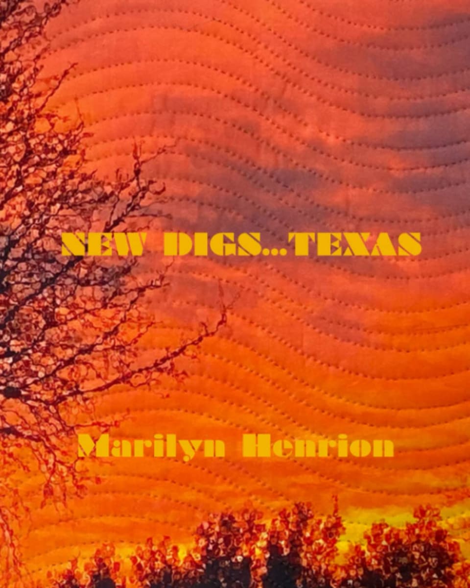 Book: New Digs: Texas by Marilyn Henrion 