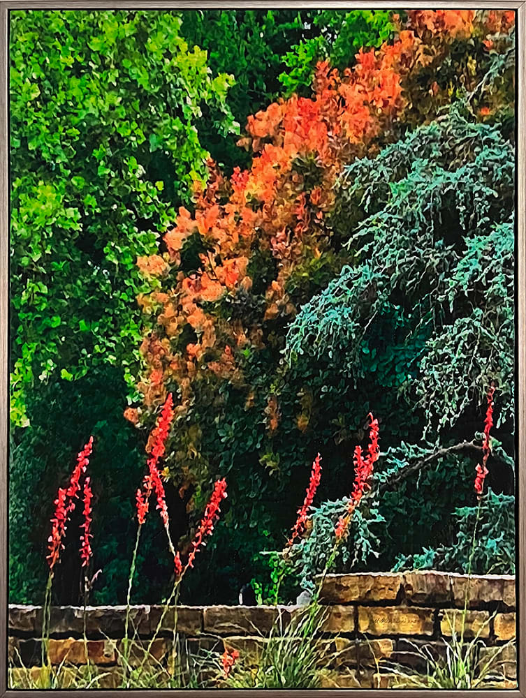 Innuendo 6- Dallas Arboretum by Marilyn Henrion  Image: Innuendo 6- framed