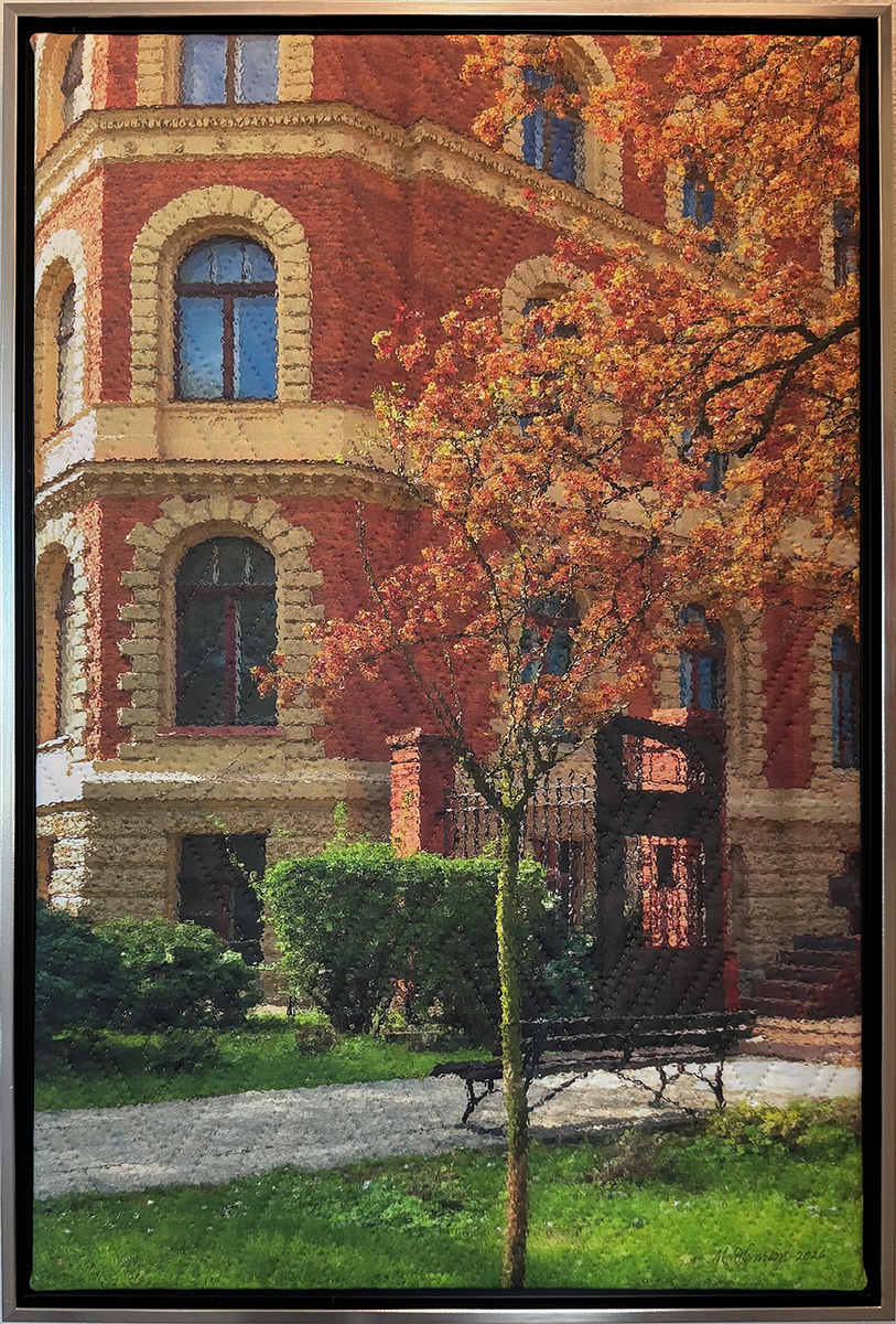 Tree: Lodz, Poland by Marilyn Henrion, Image 1.