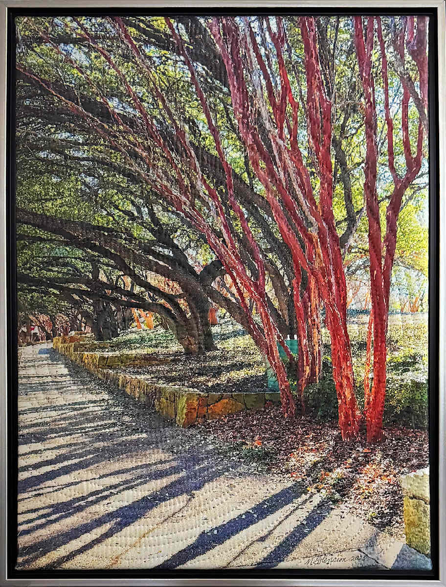 Trees- Addison Texas by Marilyn Henrion 