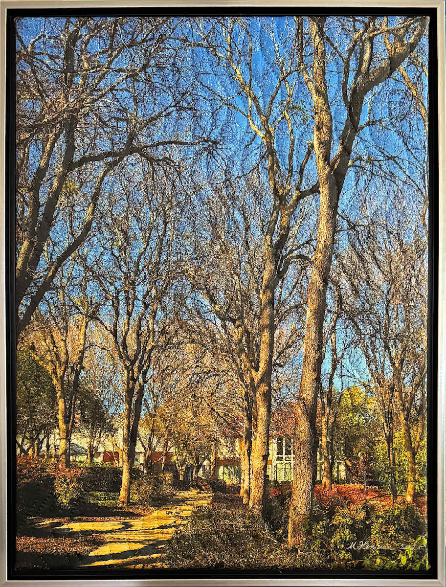 Winter Sunlight- Addison Texas by Marilyn Henrion  Image: Winter Sunlight-Addison Texas- framed