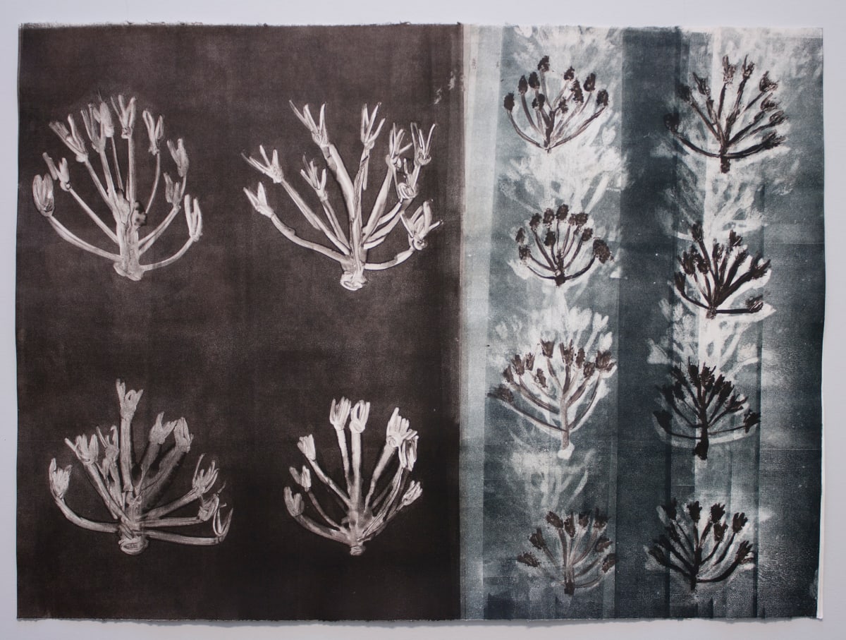 House &  Forest by Ann Marie Kennedy  Image: Inspired by walks and plants gathered on the Cathedral Trail at Penland School of Craft. Printed at the Penland Print studio during Winter Residenc