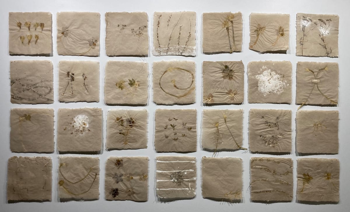 Field Studies by Ann Marie Kennedy  Image: Field Studies