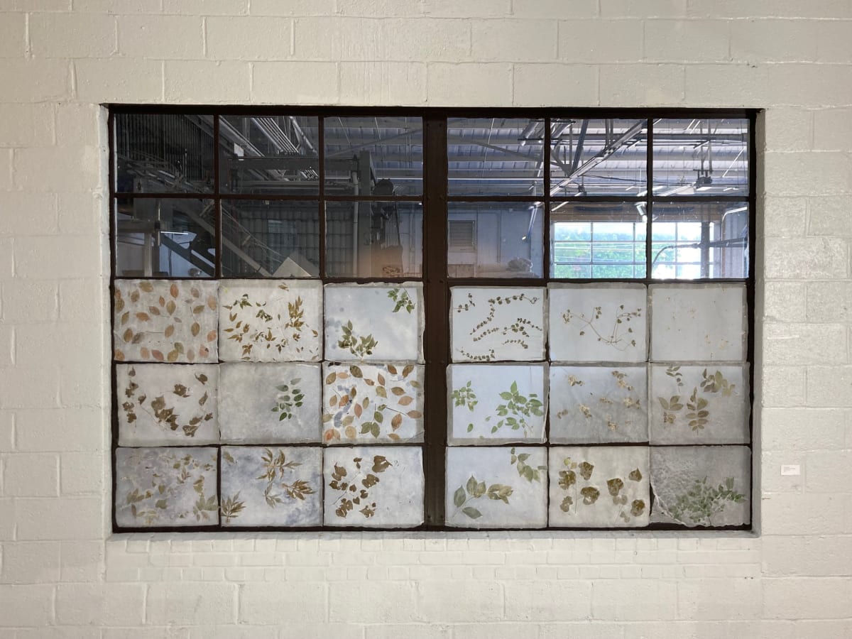 Window - untitled by Ann Marie Kennedy  Image: Window, Untitled