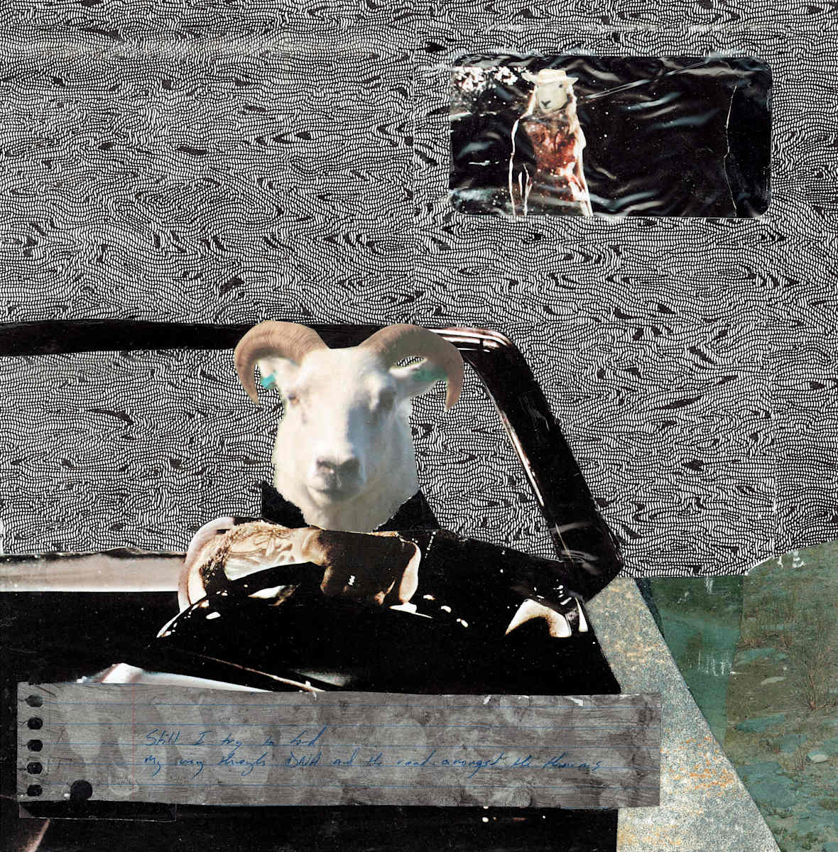 All We Leave Behind by Tina Ciranni, Image 1.
