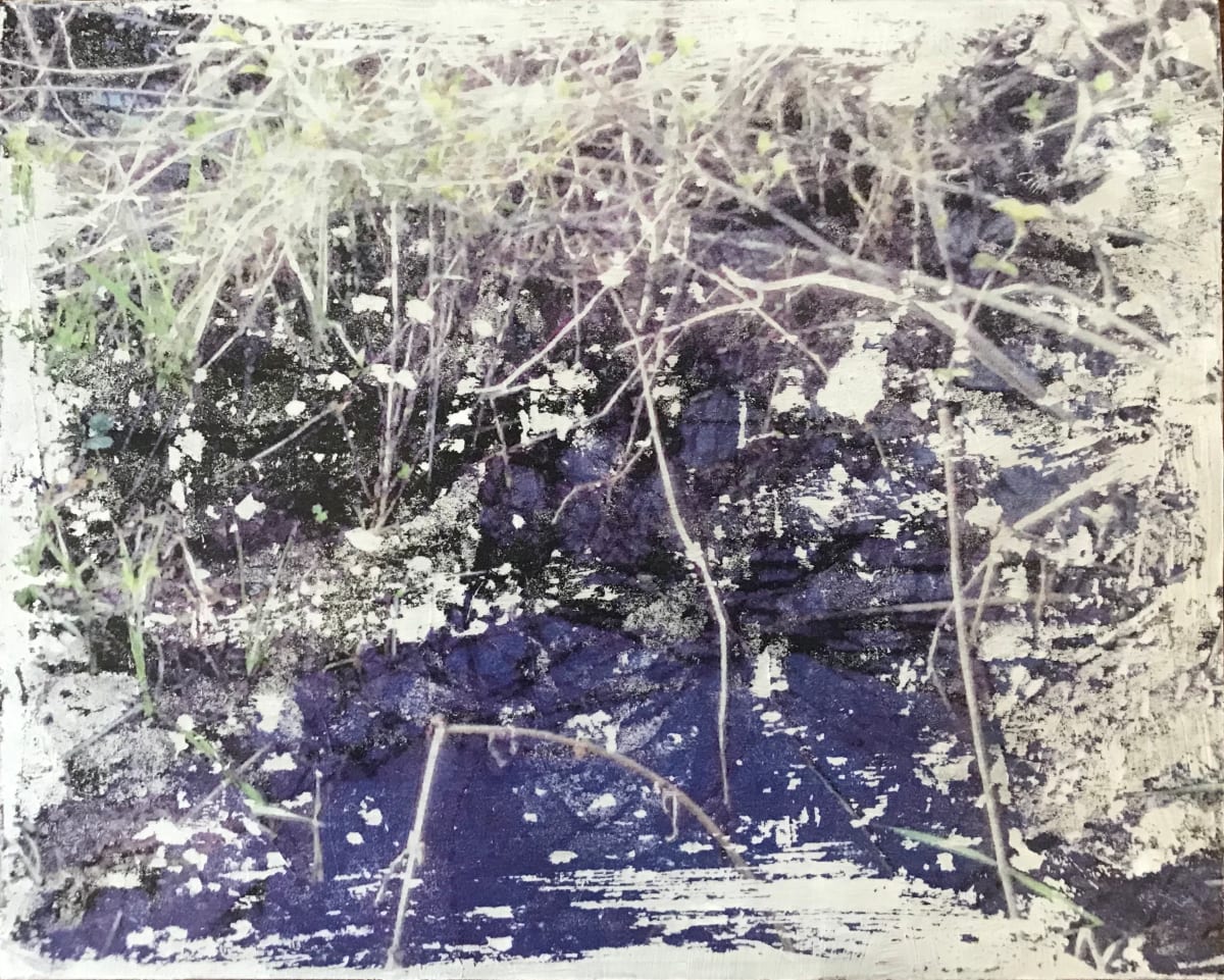 Flooded Brook Reflections 2 by C. Clinton 