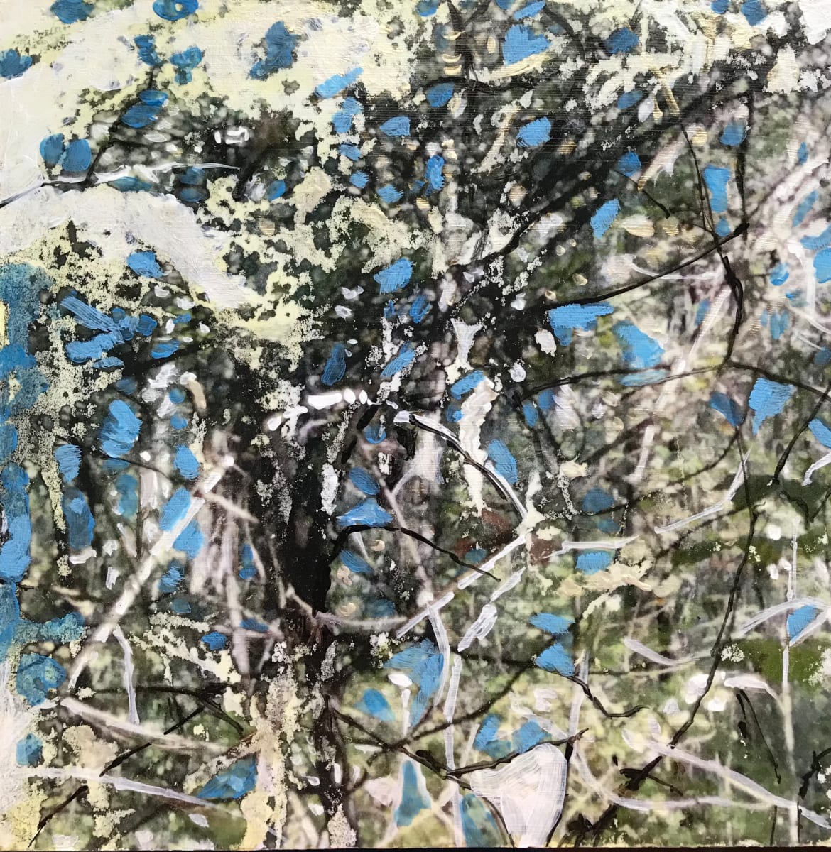 Tangled Study by C. Clinton 