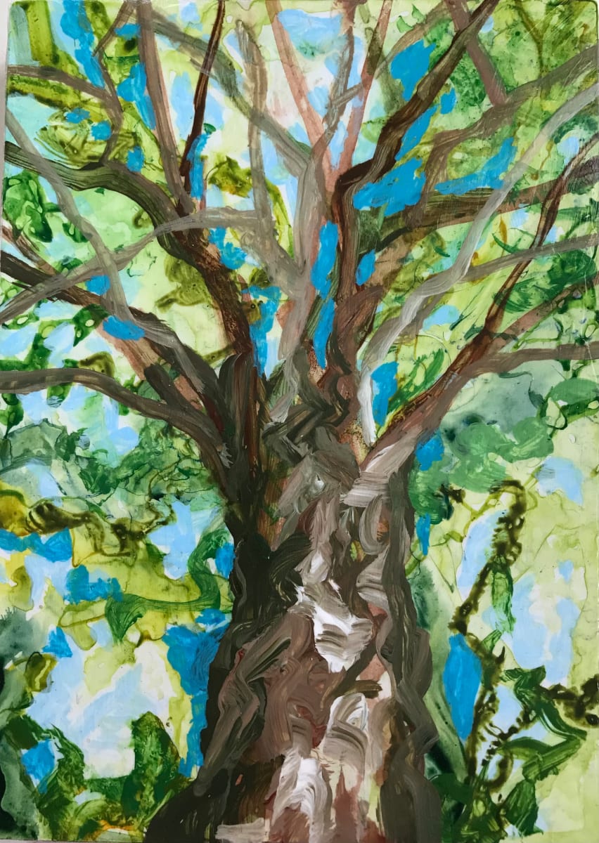 Breath of Trees Study 4 by C. Clinton 