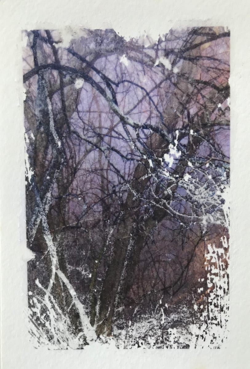 Treelight Spring Study 3 