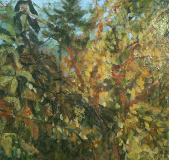 Tree Light: Fall Changing by C. Clinton, Image 1.