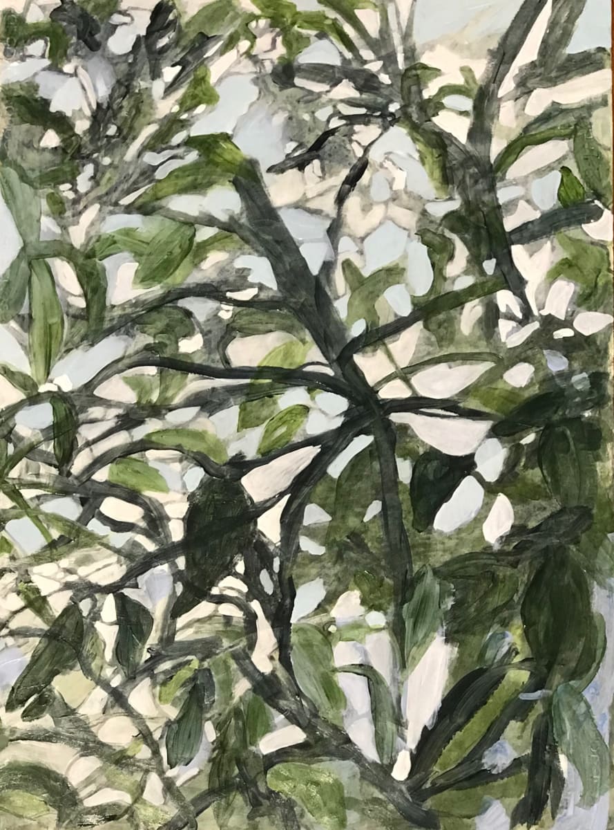 Summer Tree Light 1 by C. Clinton, Image 1.