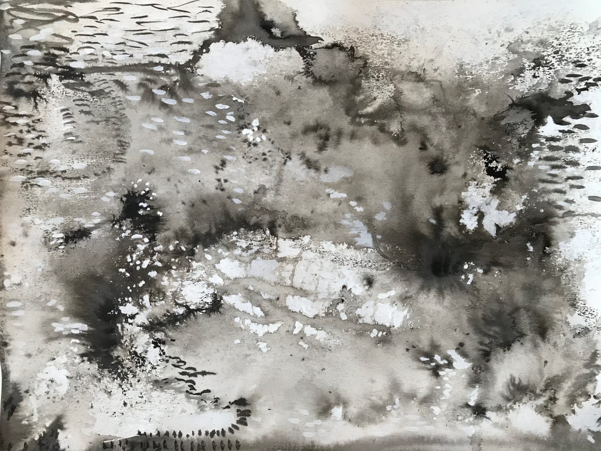 Dream Mapping  Study by C. Clinton 